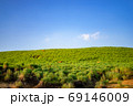 草原と青い空 69146009