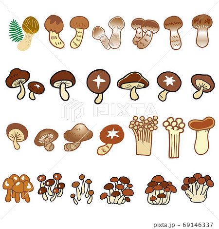 キノコ01 69146337