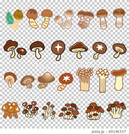 キノコ01 69146337