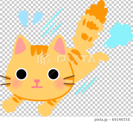 尻尾を膨らませて走るトラ猫 69146558