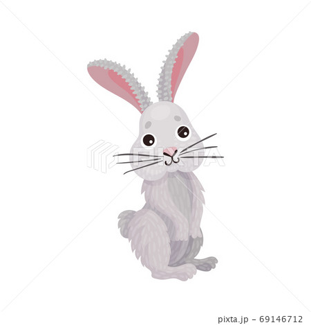 Cute White Hare with Long Ears as Herbivore Forest Animal Vector Illustration 69146712