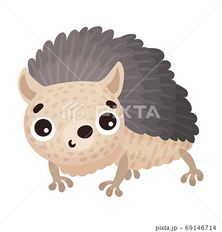 Cute Hedgehog with Prickles as Forest Animal Vector Illustration 69146714