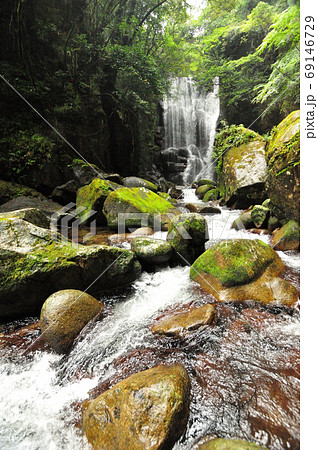 桑の木の滝 桑の木の滝 69146729