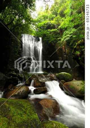 桑の木の滝 桑の木の滝 69146733