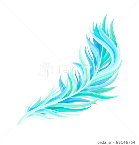 Blue Bird Feather with Nib as Avian Plumage Vector Illustration 69146754