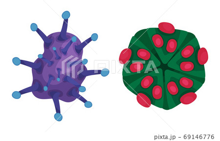 Virus and Microbes of Different Shape with Flagella Vector Set 69146776
