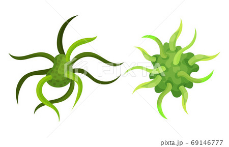 Virus and Microbes of Different Shape with Flagella Vector Set 69146777