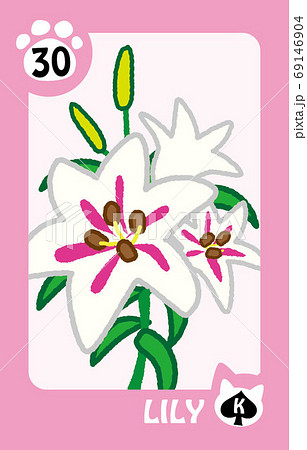 ルノルマンカード30ユリ 69146904