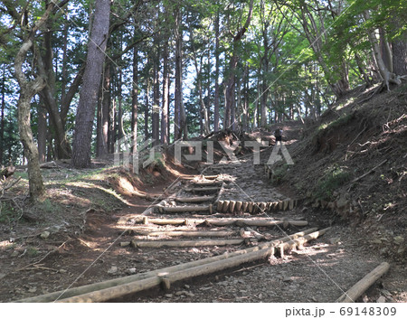 登山道　大倉尾根 69148309