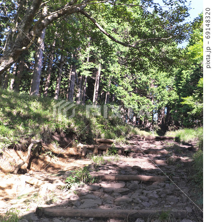 登山道　大倉尾根 69148320