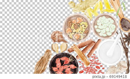 色々な種類の漢方生薬を並べたイラスト 色々な種類の漢方生薬を並べたイラスト 69149418