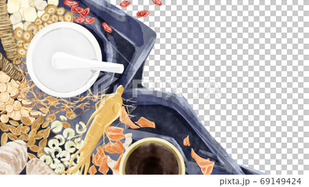 色々な種類の漢方生薬を並べたイラスト 色々な種類の漢方生薬を並べたイラスト 69149424