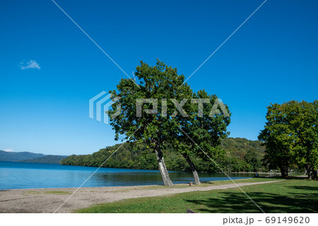 青い静かな湖と湖畔の木　屈斜路湖 69149620