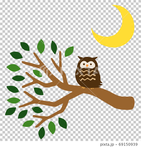 Illustration set of owl and crescent moon perching on tree 69150939