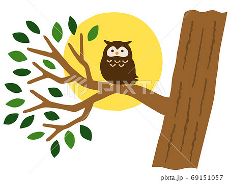 木に止まるフクロウと満月の手描き風イラストのイラスト素材
