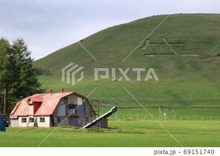 北海道　中標津　牛文字の山とレトロな牛舎 69151740