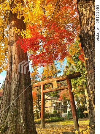 高野山 湯屋谷弁財天の紅葉 和歌山県伊都郡高野町 高野山 湯屋谷弁財天の紅葉 和歌山県伊都郡高野町 69151965