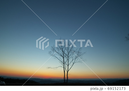冬の日没後、山頂の木のシルエットがきれいです。 69152173