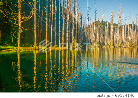 台湾 林 森 69154140