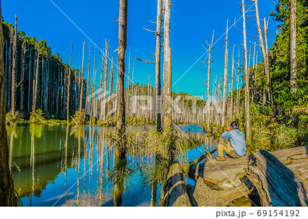 台湾 林 森 69154192