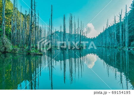 台湾 林 森 69154195