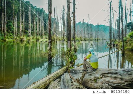 台湾 林 森 69154196