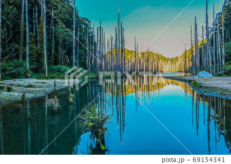 台湾 林 森 69154341