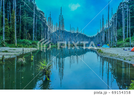 台湾 林 森 69154358