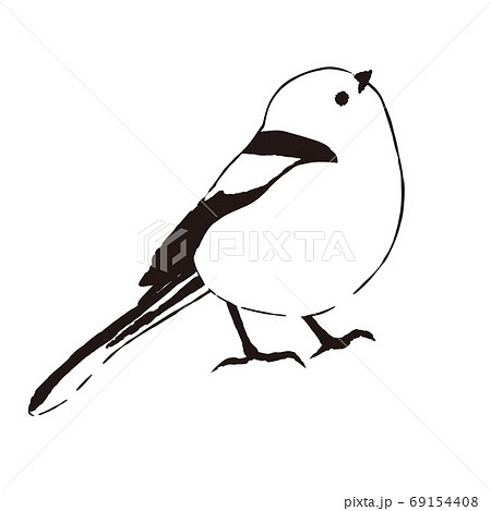 Bird Illustration Shimaenaga Long Tailed Tit Stock Illustration