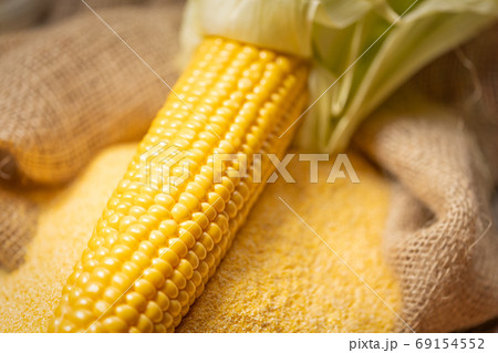 Ripe young sweet corn cob and cornmeal close up Ripe young sweet corn cob and cornmeal close up 69154552