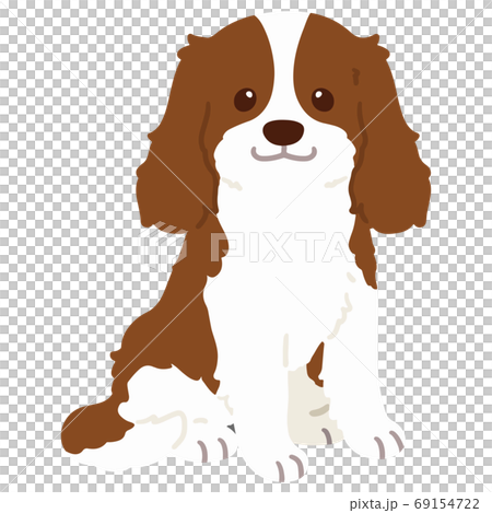 坐下沒有主線的棕色騎士國王查爾斯犬 69154722