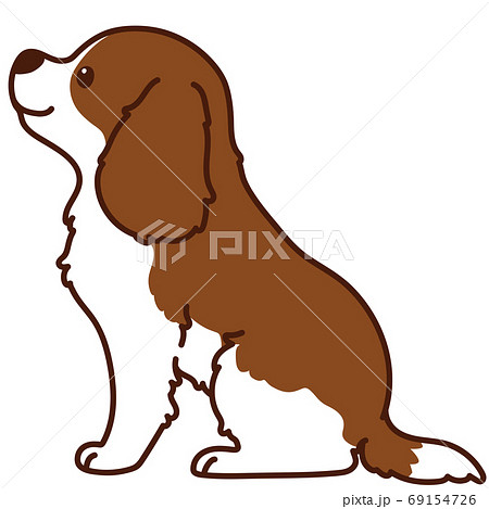 お座りする茶色のキャバリア キング チャールズ スパニエル 横向き 主線ありのイラスト素材 お座りする茶色のキャバリア キング チャールズ スパニエル 横向き 主線ありのイラスト素材