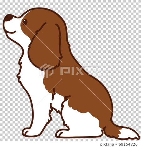 お座りする茶色のキャバリア・キング・チャールズ・スパニエル　横向き　主線あり 69154726