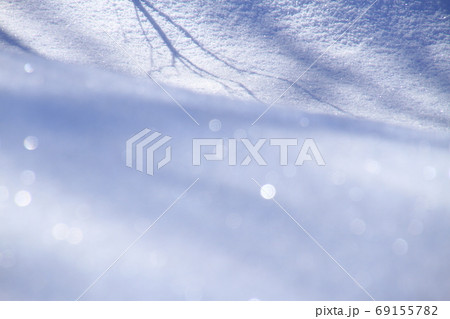 枝影と玉ボケが映る雪面の写真素材