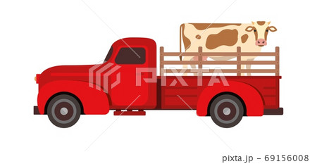Cow Transportation flat vector illustration. Farm livestock animals moving. Cattle relocation with a red pick up truck. 69156008