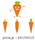 Vector carrot illustration. Healthy food, vegetable ingredients. 69156010