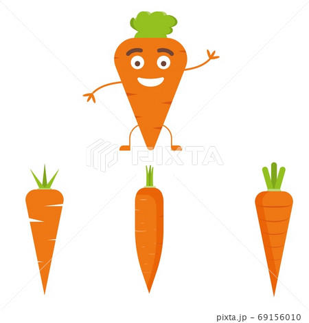 Vector carrot illustration. Healthy food, vegetable ingredients. Vector carrot illustration. Healthy food, vegetable ingredients. 69156010