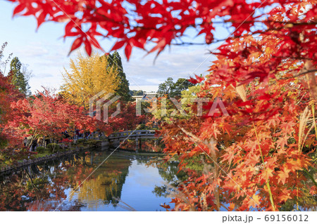 京都の秋・禅林寺永観堂の紅葉 京都の秋・禅林寺永観堂の紅葉 69156012