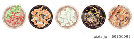 お皿に入れて並べた漢方生薬イラスト 69156095