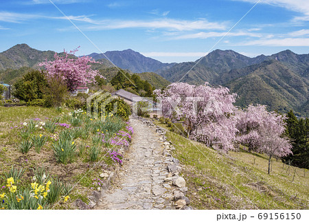 桜咲く果無集落 春の熊野古道 世界遺産の村 日本の里100選 十津川村観光スポット 桜咲く果無集落 春の熊野古道 世界遺産の村 日本の里100選 十津川村観光スポット 69156150