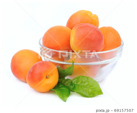 Apricots Apricots 69157507