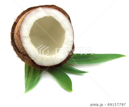Coconuts Coconuts 69157797