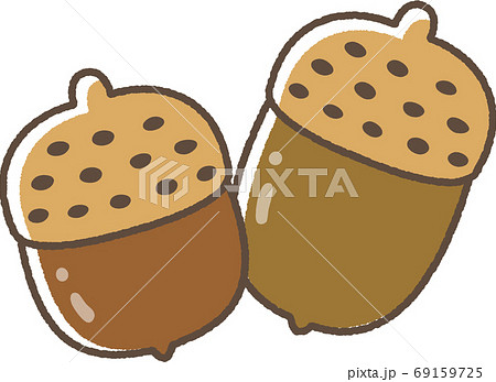 どんぐりのイラスト素材