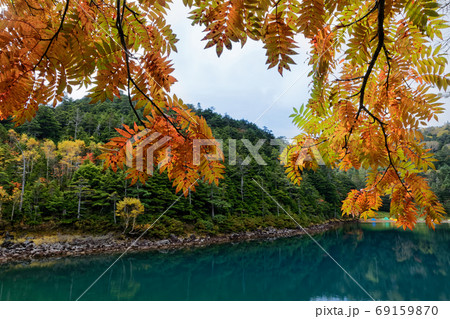 紅葉の北八ヶ岳 双子池の風景の写真素材