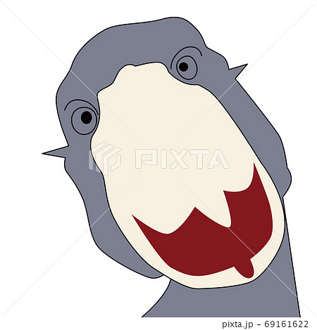 ハシビロコウのイラスト 69161622