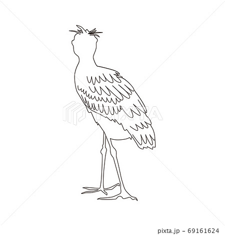 ハシビロコウのイラスト 69161624