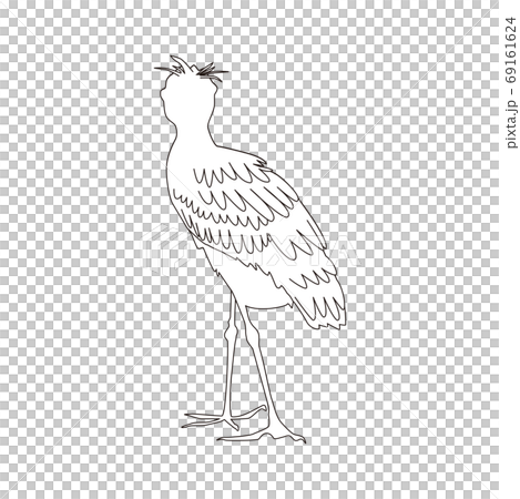 ハシビロコウのイラスト 69161624