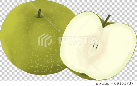 可愛い梨 輪切りにした梨のイラストのイラスト素材