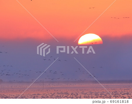 朝焼けと飛び立ち 69161818