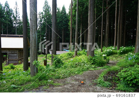 岩手の古刹天台寺　仁王門 69161837